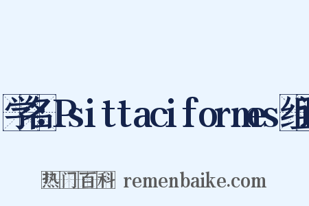 学名：Psittaciformes组词是什么意思的图片